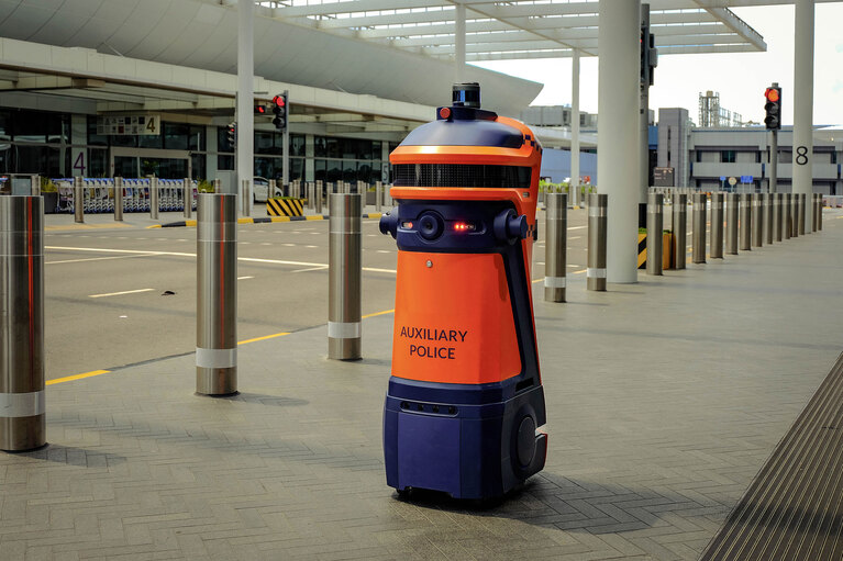 Security and inspecting robots image
